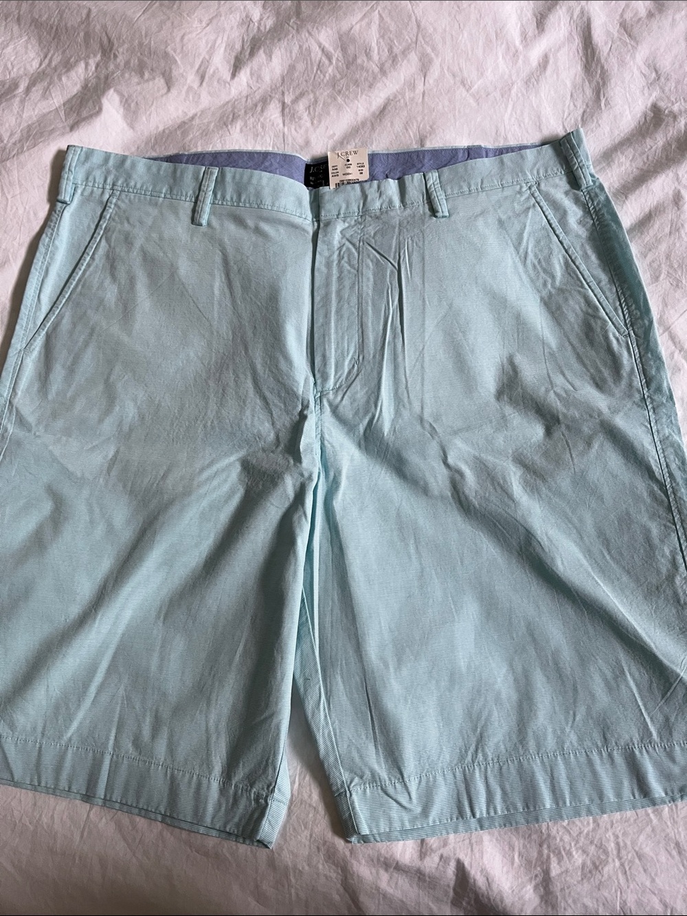 J. Crew Rivington Cotton Pinstripe Shorts Mint teal Size 38 NWT